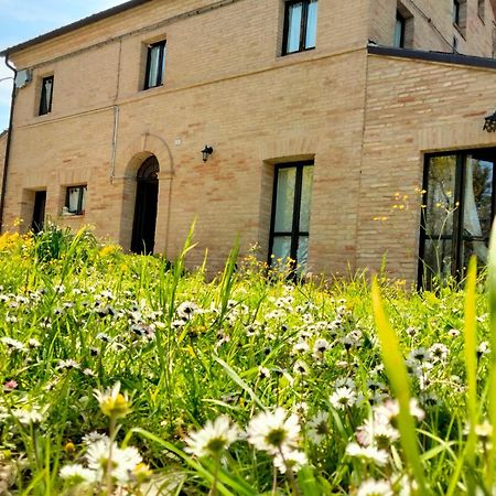 Agriturismo Campo Aperto Belvedere Ostrense Dış mekan fotoğraf