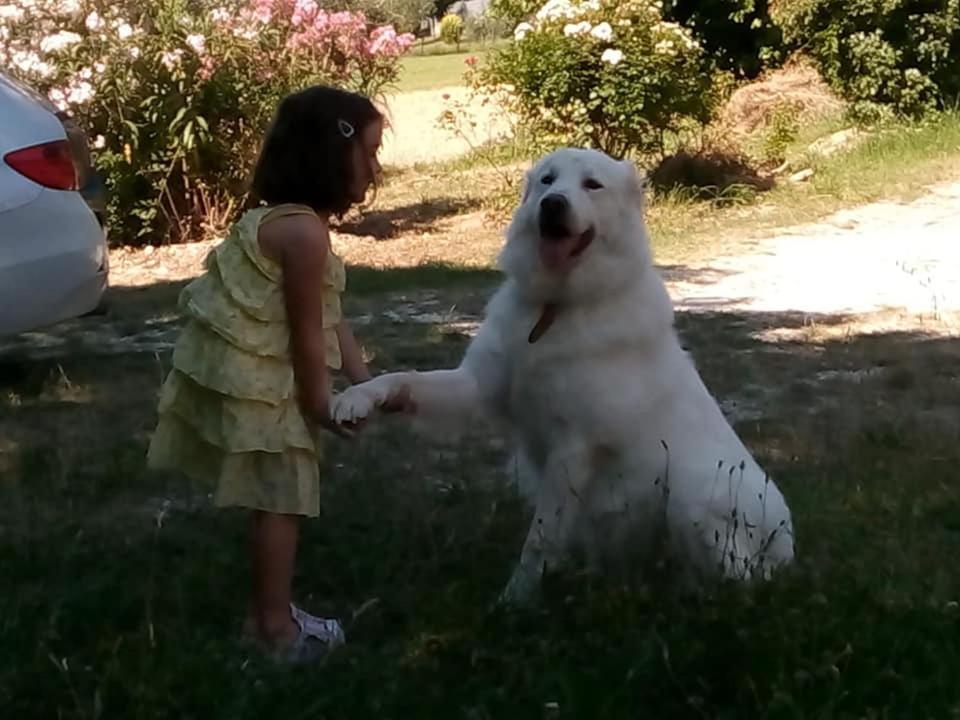 Agriturismo Campo Aperto Belvedere Ostrense Dış mekan fotoğraf