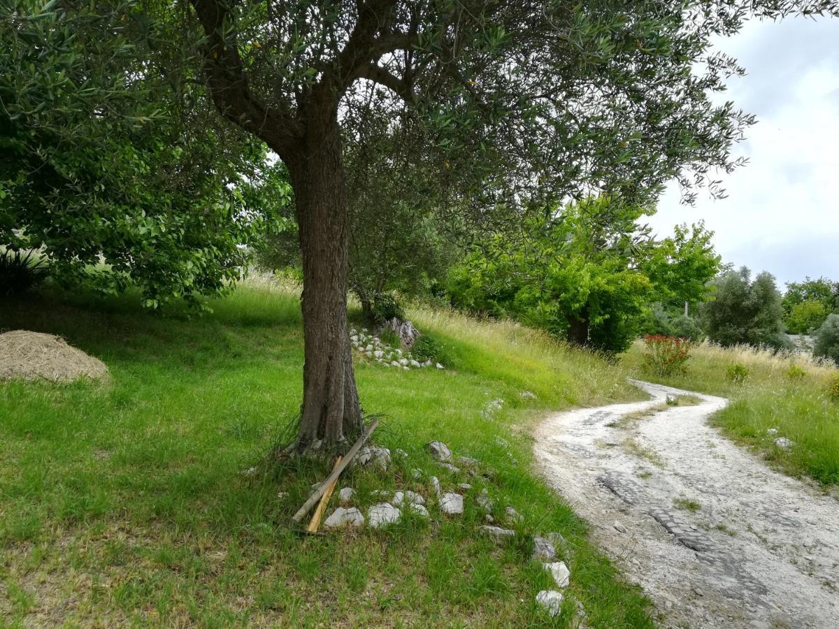 Agriturismo Campo Aperto Belvedere Ostrense Dış mekan fotoğraf