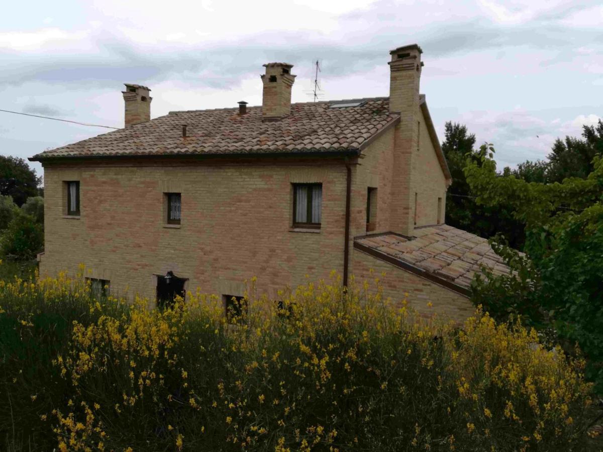 Agriturismo Campo Aperto Belvedere Ostrense Dış mekan fotoğraf