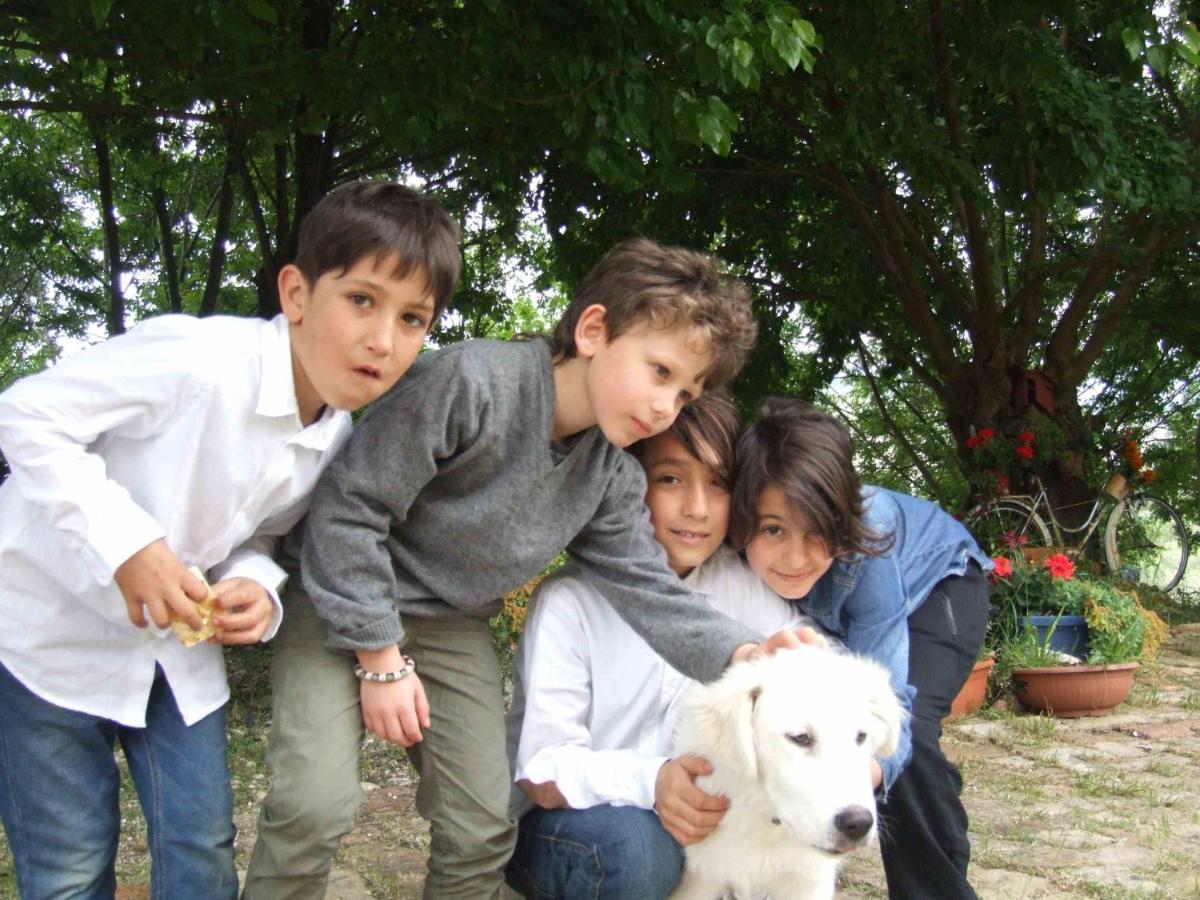 Agriturismo Campo Aperto Belvedere Ostrense Dış mekan fotoğraf