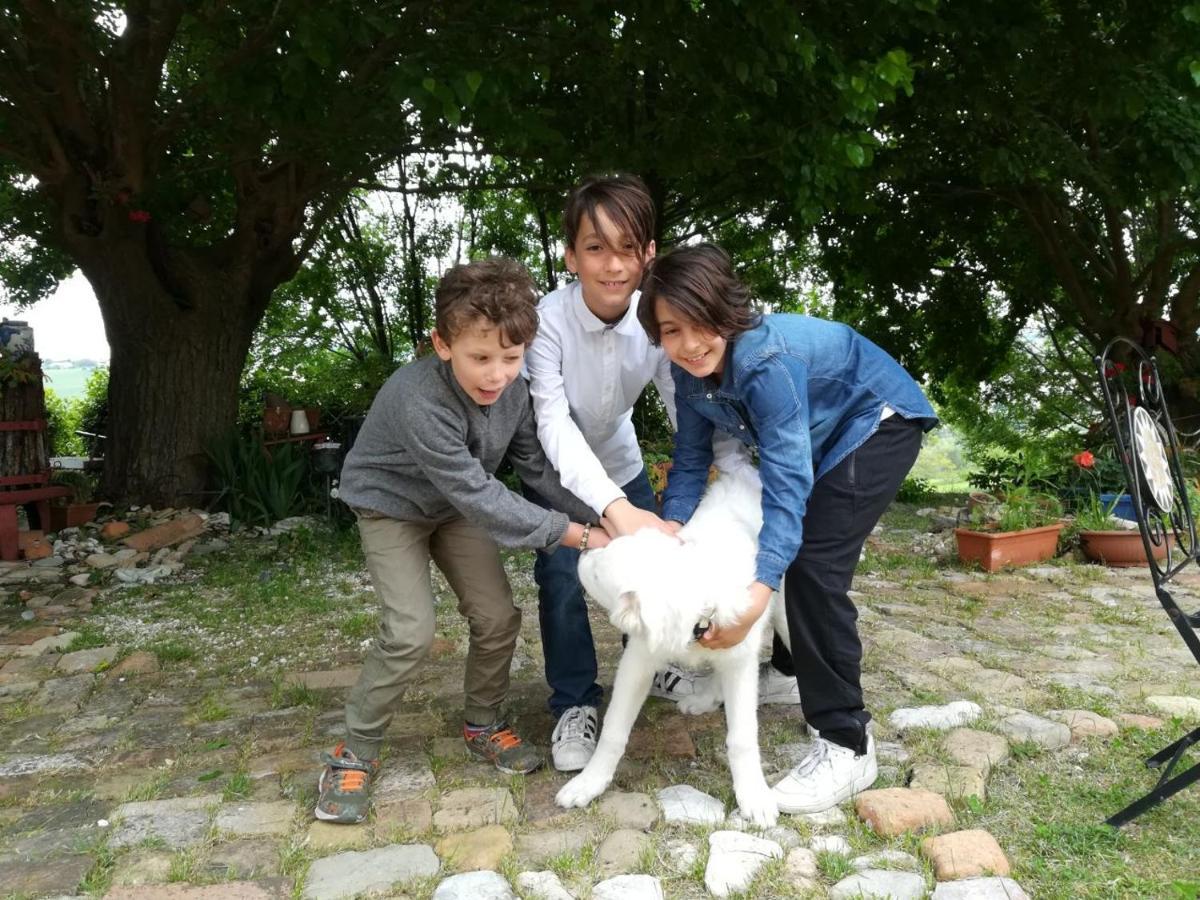 Agriturismo Campo Aperto Belvedere Ostrense Dış mekan fotoğraf