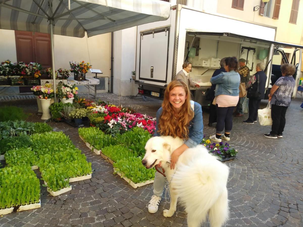 Agriturismo Campo Aperto Belvedere Ostrense Dış mekan fotoğraf