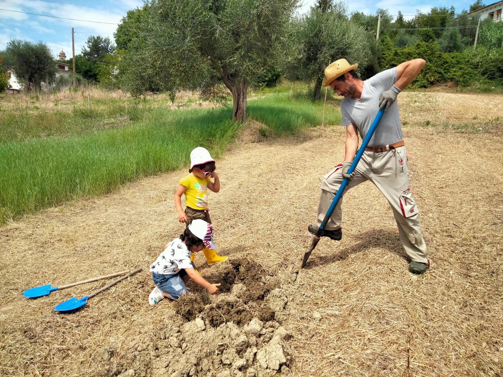 Agriturismo Campo Aperto Belvedere Ostrense Dış mekan fotoğraf