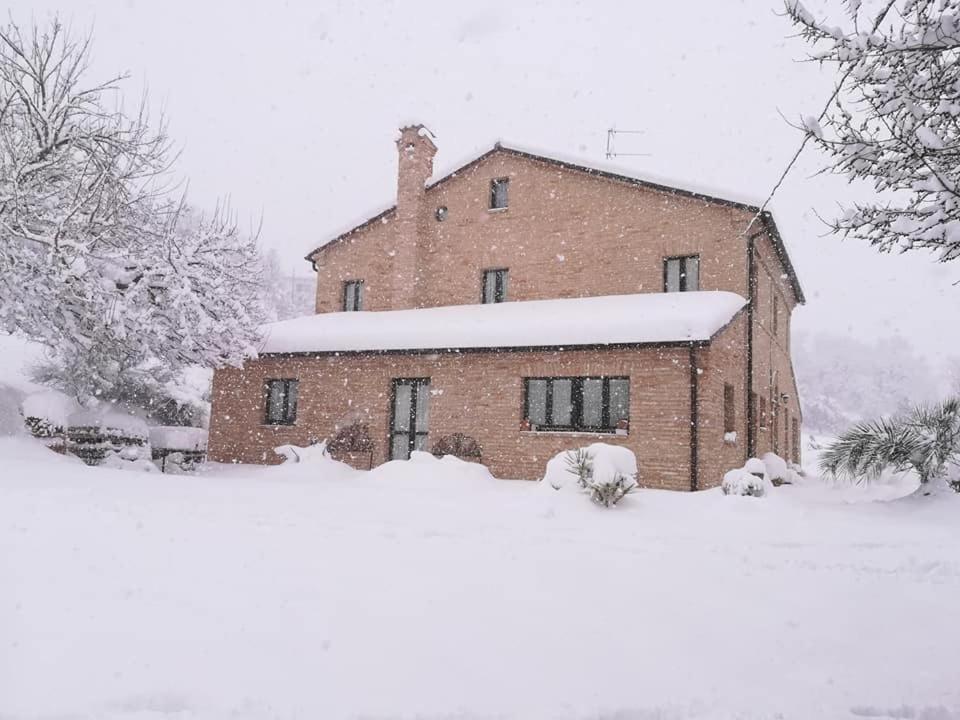 Agriturismo Campo Aperto Belvedere Ostrense Dış mekan fotoğraf