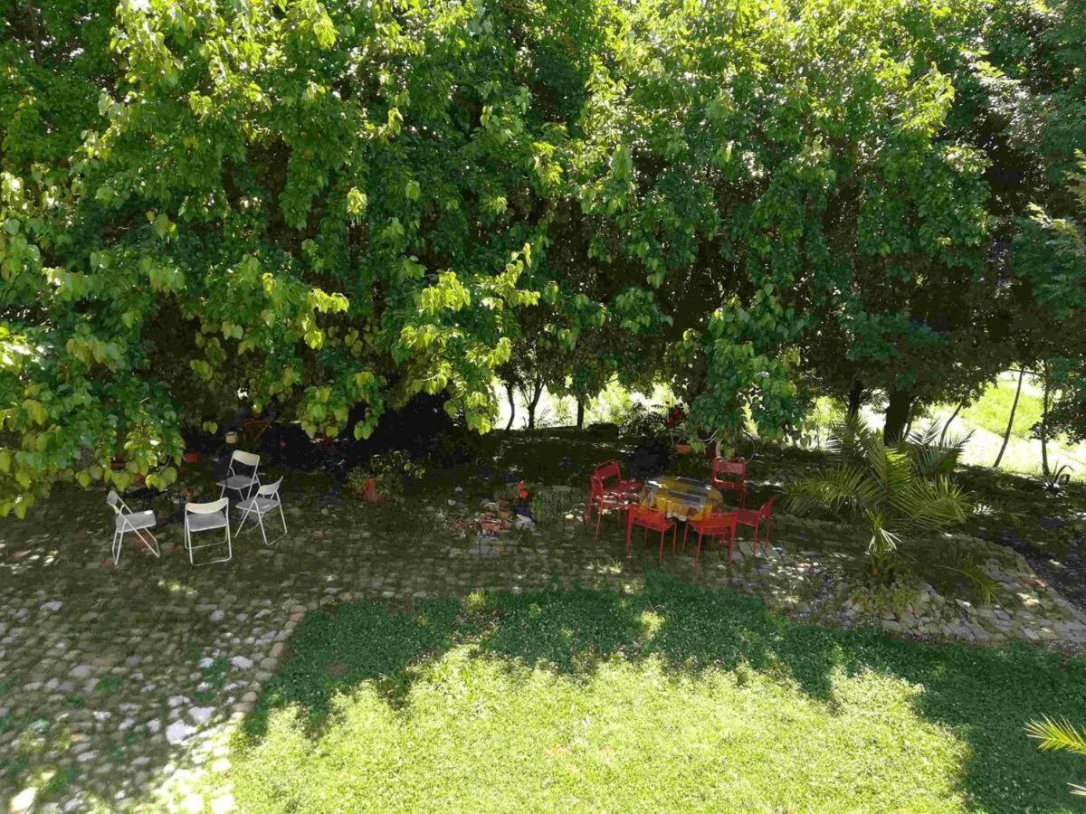 Agriturismo Campo Aperto Belvedere Ostrense Dış mekan fotoğraf