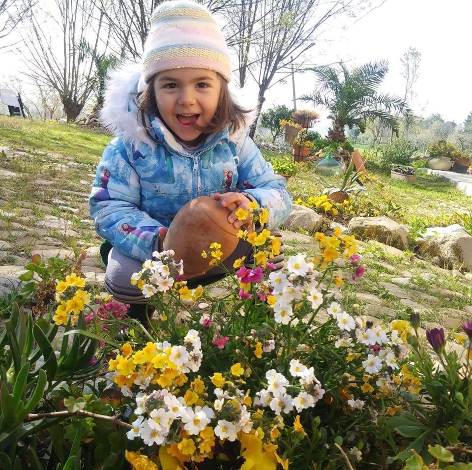 Agriturismo Campo Aperto Belvedere Ostrense Dış mekan fotoğraf