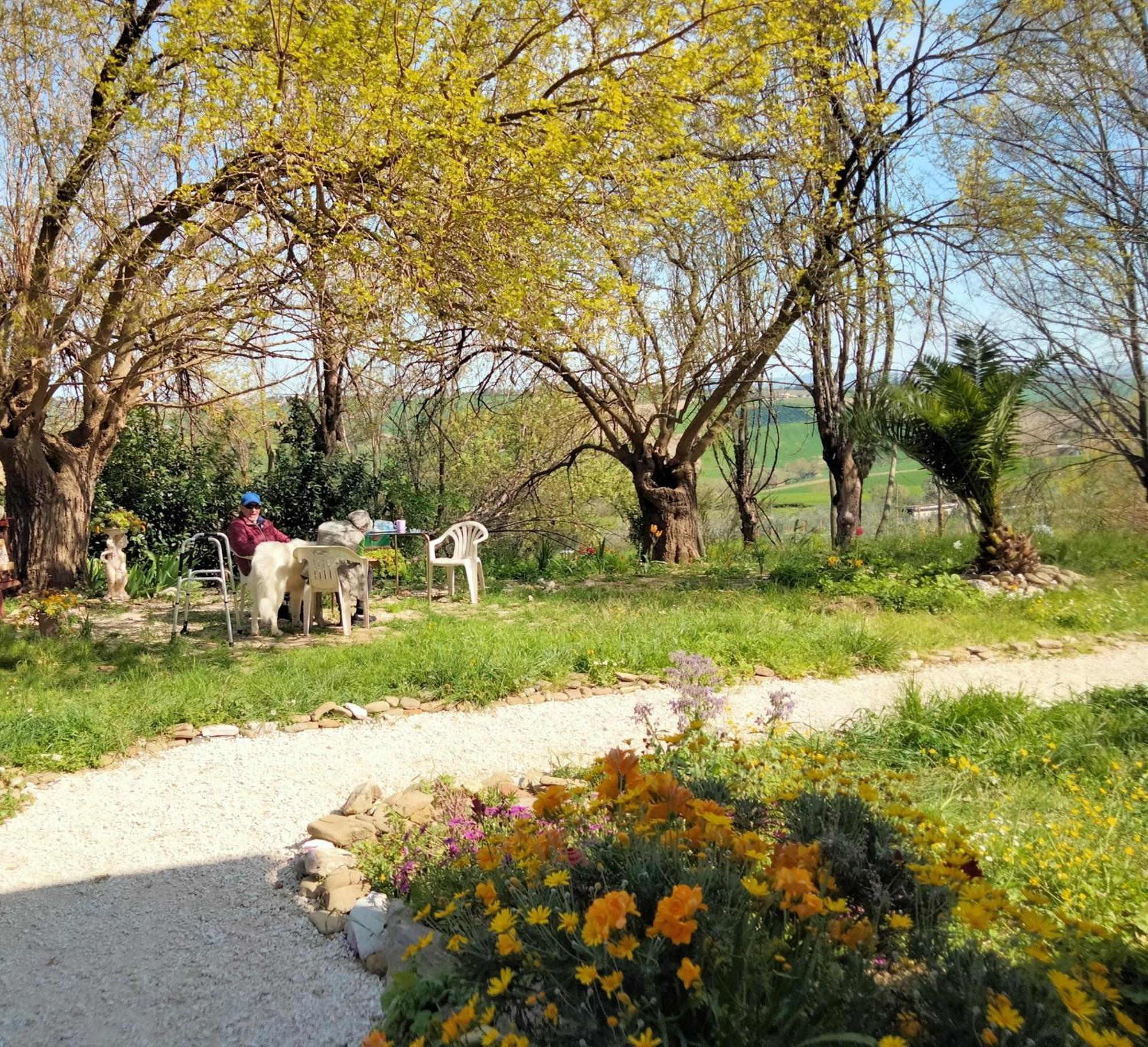 Agriturismo Campo Aperto Belvedere Ostrense Dış mekan fotoğraf
