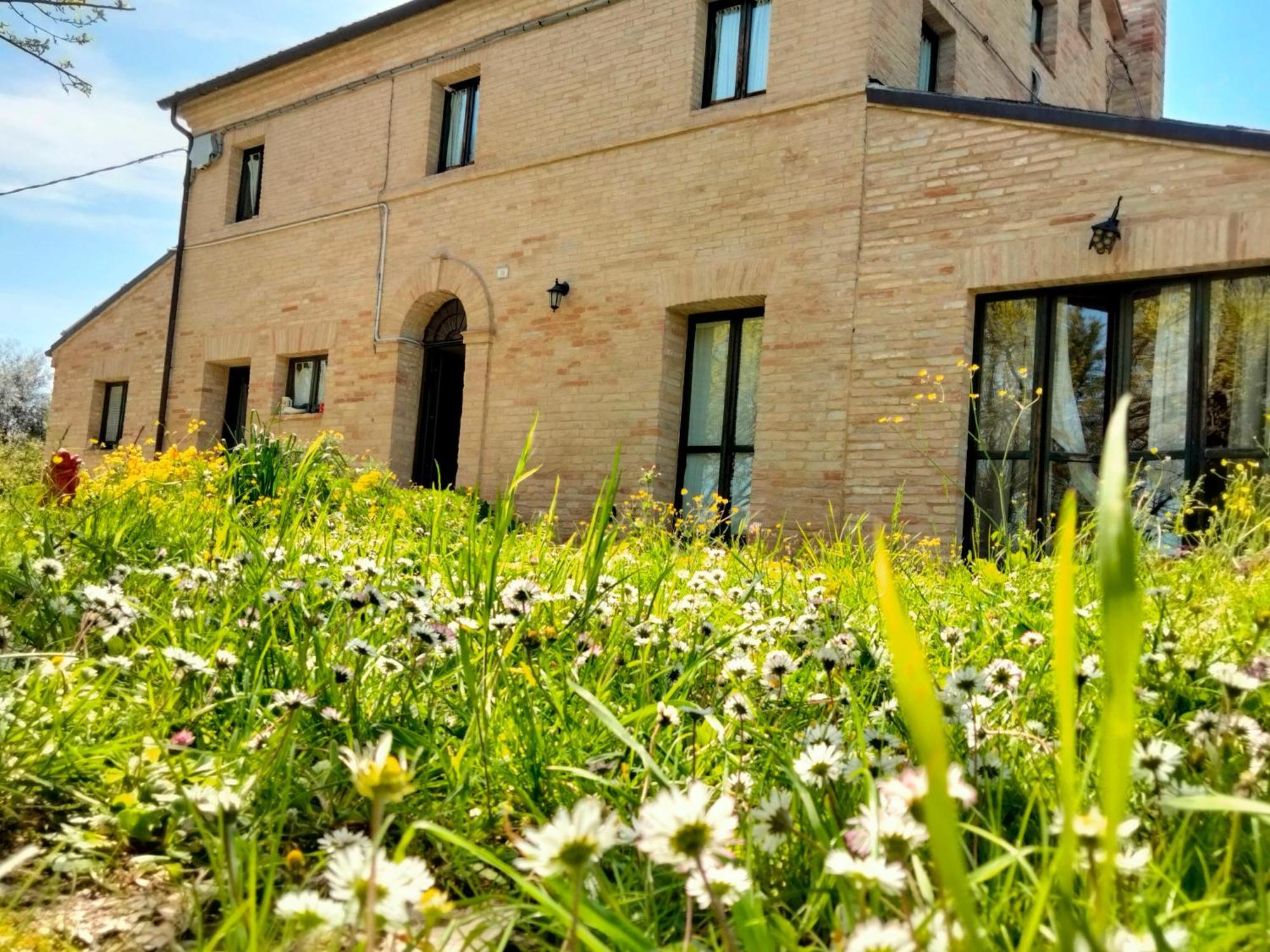 Agriturismo Campo Aperto Belvedere Ostrense Dış mekan fotoğraf